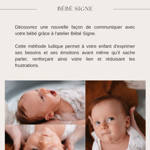 signe-ig